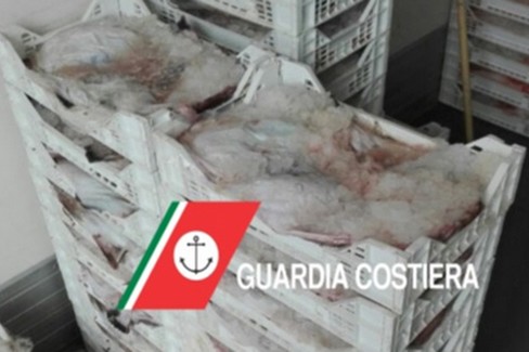 Il sequestro della Guardia Costiera