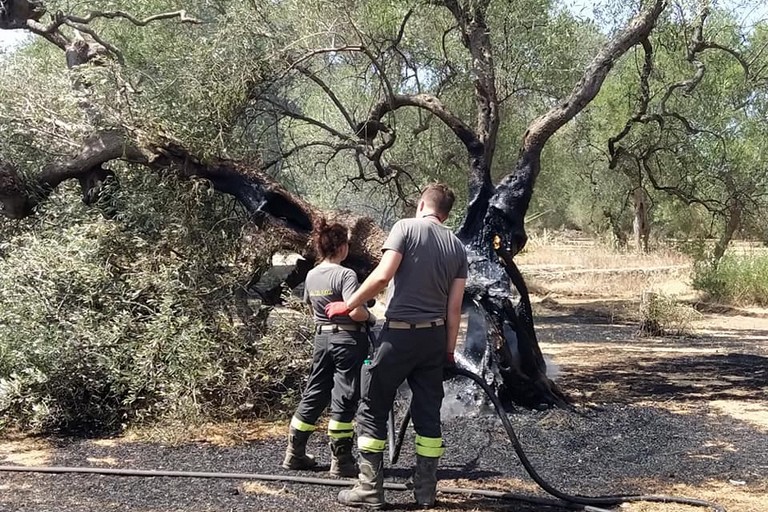 L'intervento dei Vigili del Fuoco