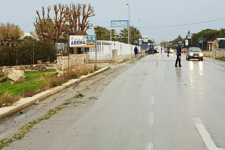 Camion perde carico di olive sulla litoranea per Giovinazzo