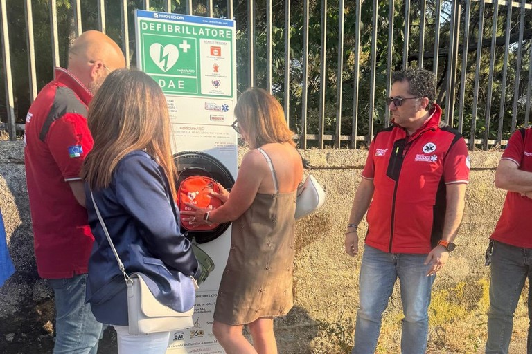 Defibrillatore