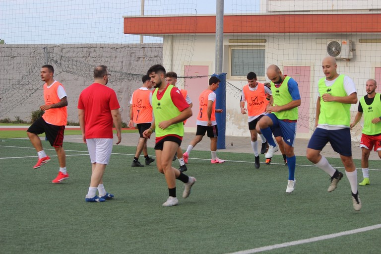 Real Molfetta C11