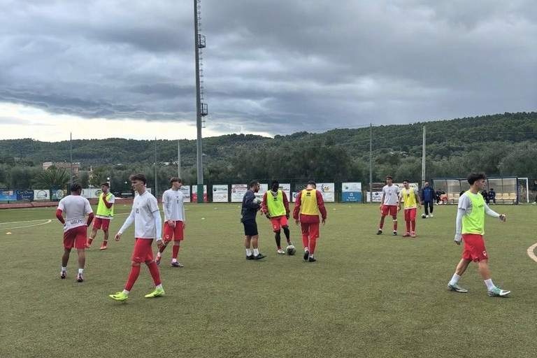 Molfetta Calcio
