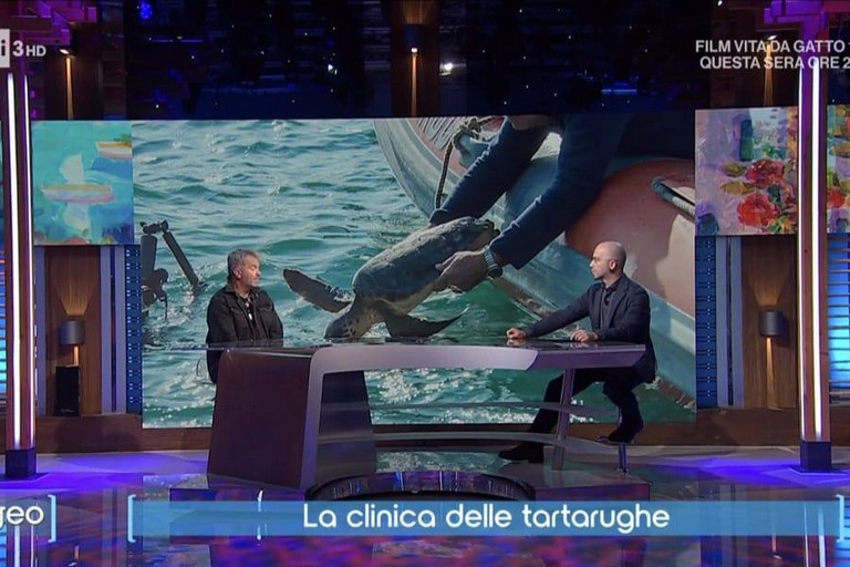 Il Centro Recupero Tartarughe Marine di Molfetta protagonista a “Geo” su Rai 3