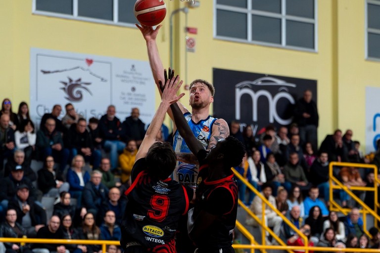 Una Virtus Basket Molfetta in grande spolvero batte il Rende al PalaPanunzio