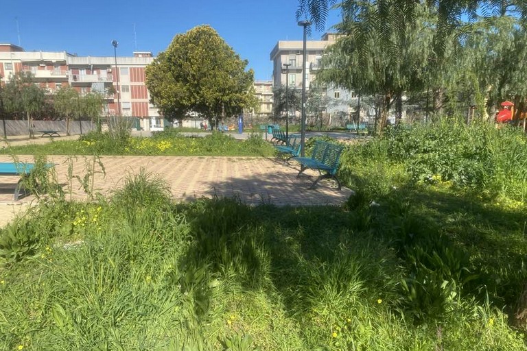 Erba altissima al Parco dei Nonni