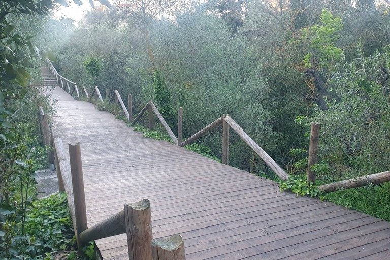 Ancora vandalismo nel parco di Lama Martina