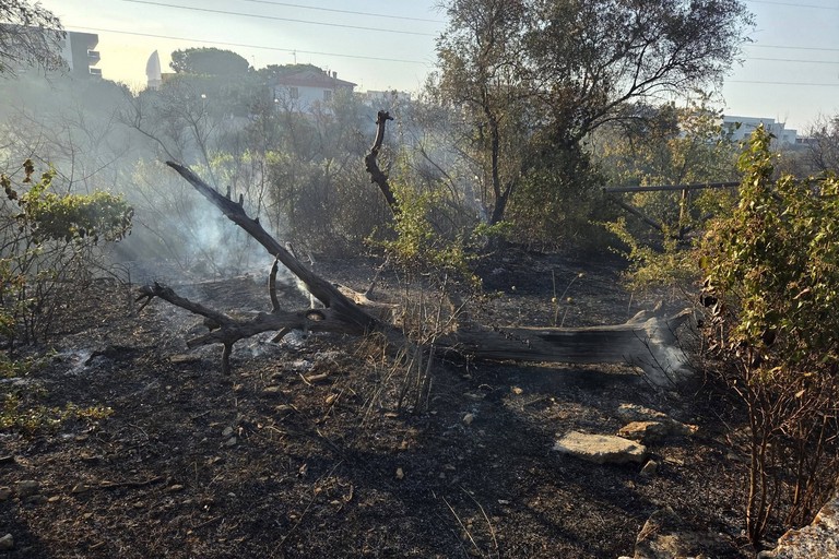 Incendio Lama Martina