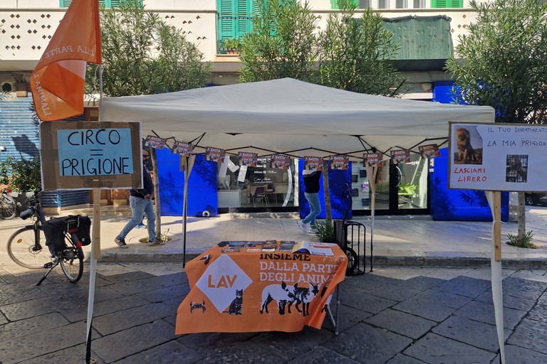 Associazioni contro il circo