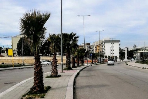 Nuova zona di espansione