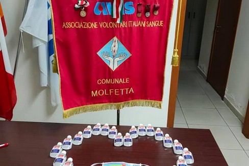 Avis Molfetta