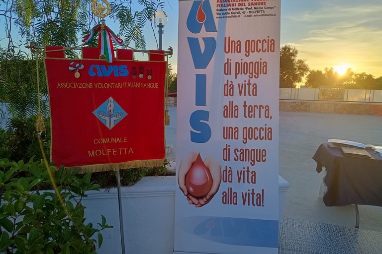 Avis Molfetta