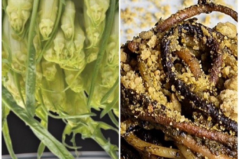 La Cicoria Puntarella Molfettese incontra l’Assassina