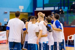 Virtus Basket Molfetta, oggi la presentazione ufficiale della squadra