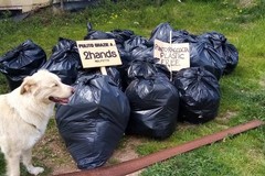 "Ti raccontiamo la natura" a Lama Martina: raccolti 170 kg di rifiuti