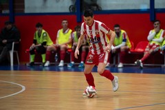 Serie A2, oggi le Aquile Molfetta contro il Futsal Canicattì