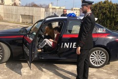 Gli studenti della "Scardigno" e "Valente" incontrano il capitano Danilo Landolfi dei Carabinieri