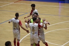 Coppa Italia, fase regionale: oggi Real Molfetta contro Futsal Andria