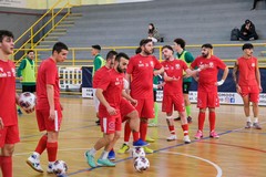 Serie C2, le Aquile Molfetta tornano in piena zona play-off