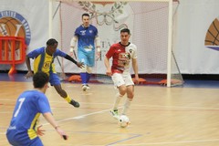 Coppa Italia nazionale: Real Molfetta ai quarti contro il Futsal Cetraro