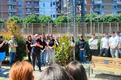 All'Alberghiero di Molfetta un albero di magnolie in memoria di Davide Farinola