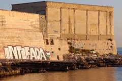 Logrieco (FdI) sul corteo per la Palestina: «Manifestazione riuscita ma condanno lo sfregio al muro dello stadio»