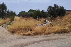 Il Comitato di quartiere "Madonna della Rosa" deluso: «Noi trascurati dal Comune»