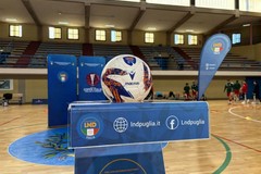 Futsal, ufficializzato il girone unico di Serie C1 con Real Molfetta
