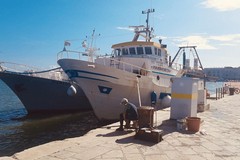 Sagra a mare 2025: sarà il motopesca "Diamante" a portare la Madonna dei Martiri