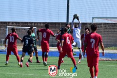 Molfetta Calcio ko in casa contro il Norba Mola: decide l'ex Bozzi