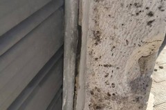 Atto vandalico contro la sede del Movimento 5 Stelle di Molfetta