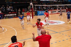 Serie B, l’Indeco Molfetta in scena in terra calabrese: è sfida contro Praia a Mare