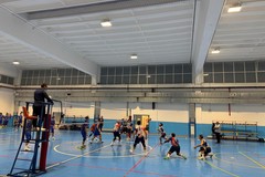 Polisportiva Dinamo Molfetta, scelto l'allenatore della squadra maschile