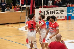 Poker Indeco Molfetta: è capolista in Serie B