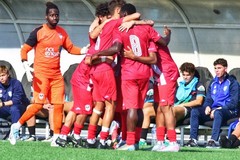 Molfetta Calcio contro Virtus Andria: missione 3 punti