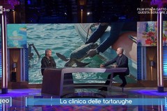 Il Centro Recupero Tartarughe Marine di Molfetta protagonista a “Geo” su Rai 3