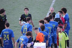 Il Borgorosso Molfetta ospita la Virtus Andria al "Poli"