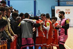 Real Molfetta oggi in campo al PalaPoli per la Coppa Italia nazionale