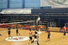 Volley, in Serie D scontro diretto per la Dinamo Molfetta