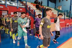 Serie C2, la Vicente Molfetta torna al PalaPoli: arriva l'Apulia Trani