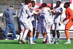 Molfetta Calcio a caccia del quinto successo di fila contro il Cosmano