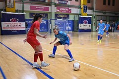 Serie A, la Femminile Molfetta sconfitta dal Falconara