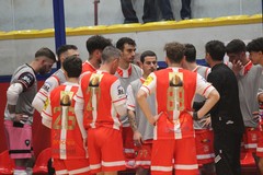 Coppa Italia nazionale: Real Molfetta ko contro il Lamezia