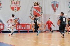 Serie C2, la Vicente Molfetta sfida in trasferta l’Adriatica Barletta