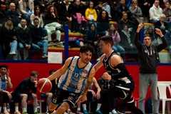 Scuotersi e riprendere a marciare: la Virtus Basket Molfetta ospita il Rende