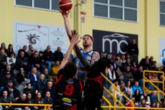 Una Virtus Basket Molfetta in grande spolvero batte il Rende al PalaPanunzio