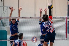 Volley, la Dinamo Molfetta cede sul campo del Manfredonia