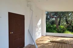 Parco di Lama Martina, dal progetto di rigenerazione al degrado: la denuncia di Radici APS