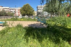 Dal rilancio al degrado: erba altissima al Parco dei Nonni