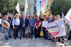Gianmauro Dell'Olio (M5S): «Quella di Manuel Minervini una vittoria che profuma di futuro»