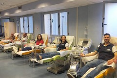 Molfetta celebra i donatori di sangue: riconoscimento a chi ogni giorno sceglie la solidarietà
